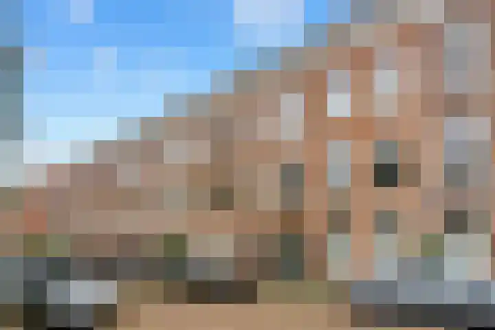 Delistraat 5 Den Haag thumbnail 36