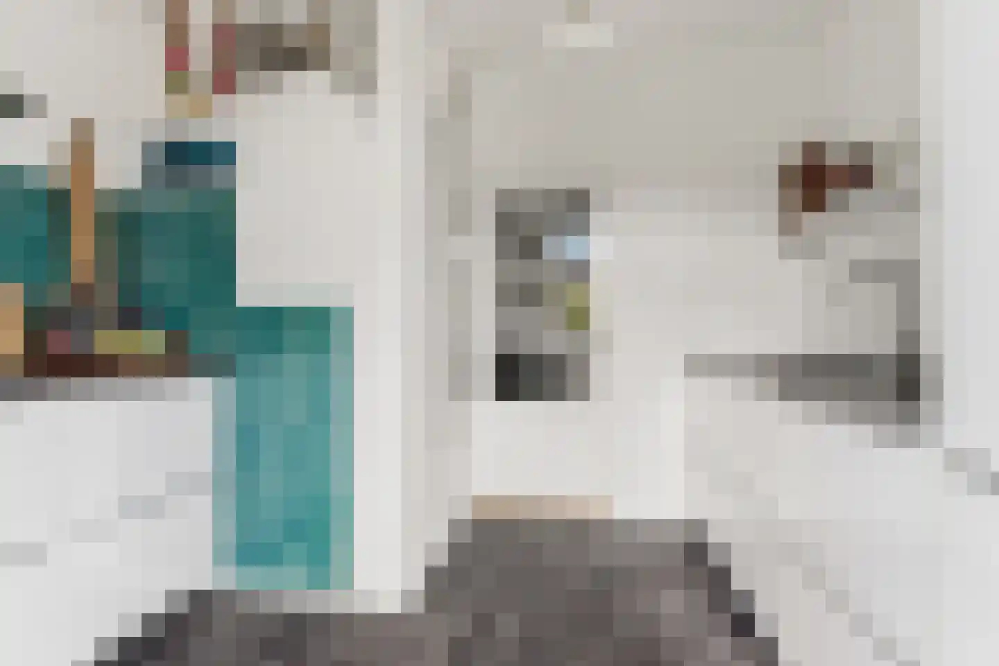 Delistraat 55 Nijmegen thumbnail 17
