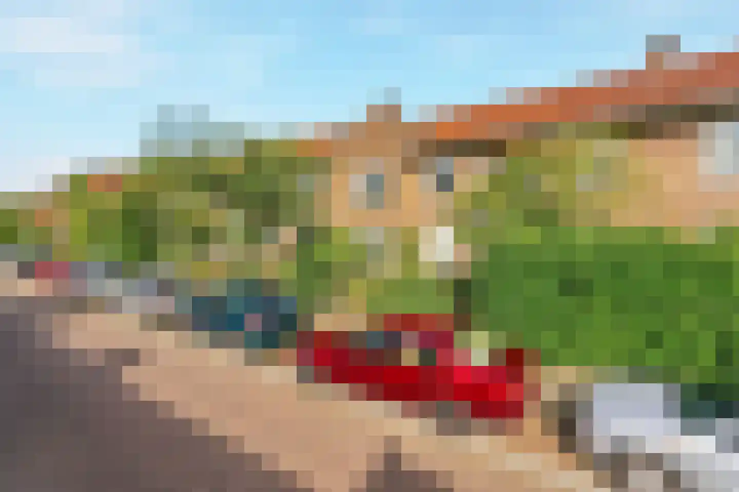 Delistraat 55 Nijmegen thumbnail 40