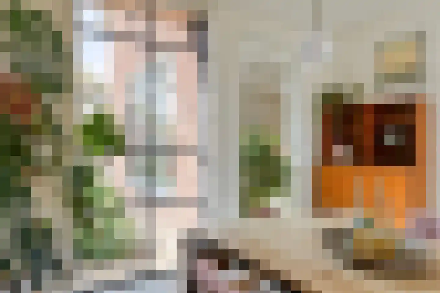 Delistraat 7 Nijmegen thumbnail 33