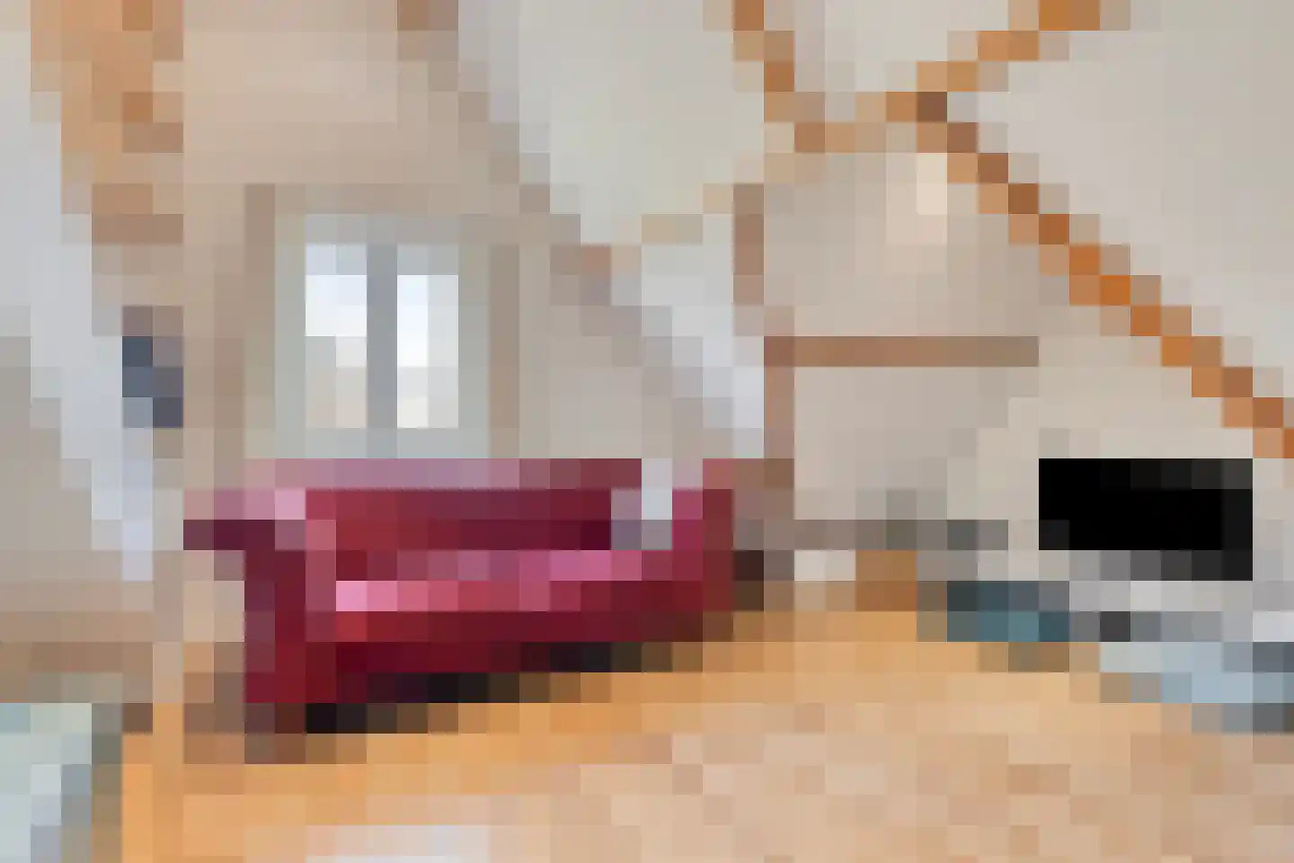 Delistraat 7 Nijmegen thumbnail 55