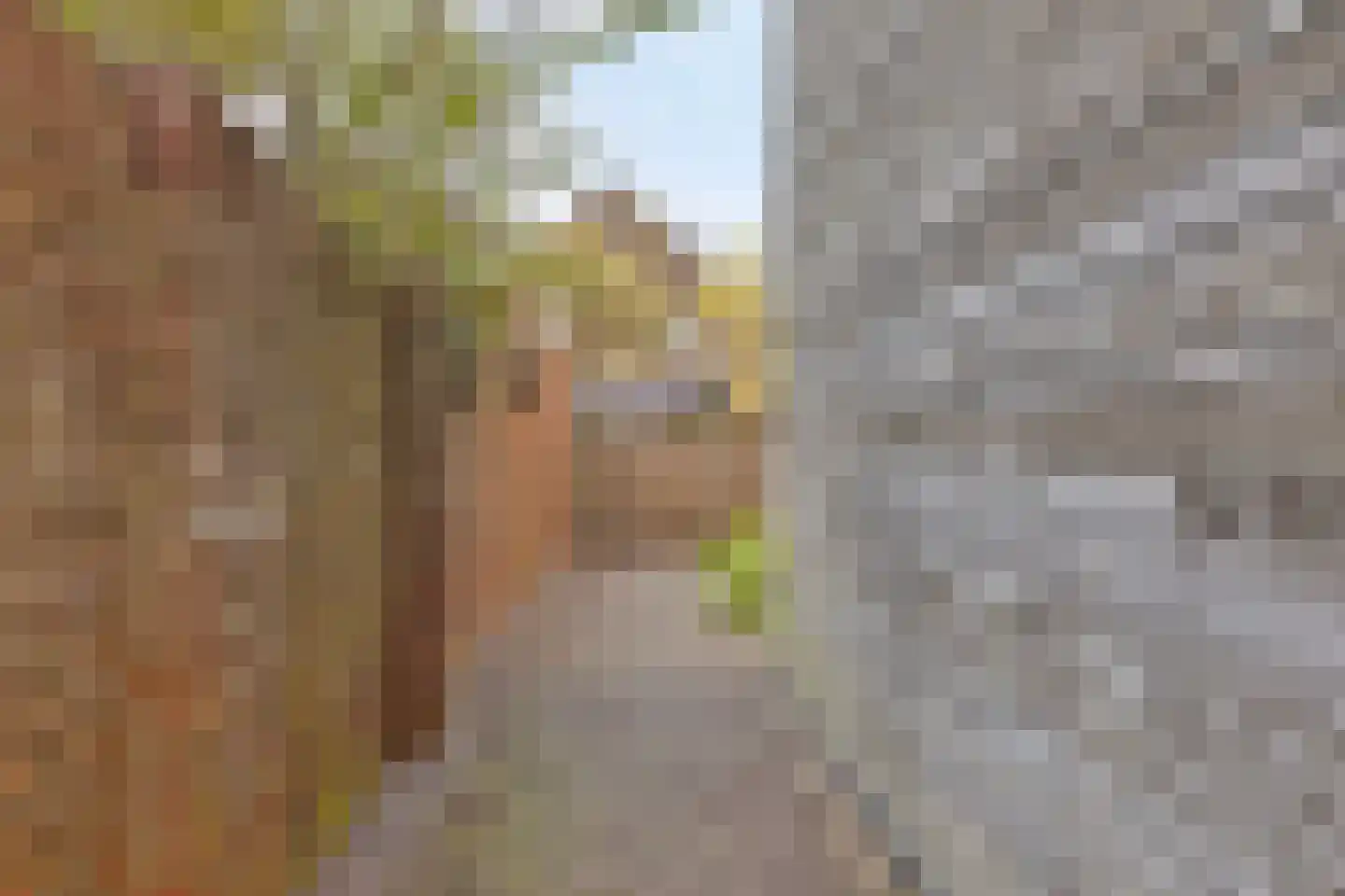 Delistraat 7 Nijmegen thumbnail 65