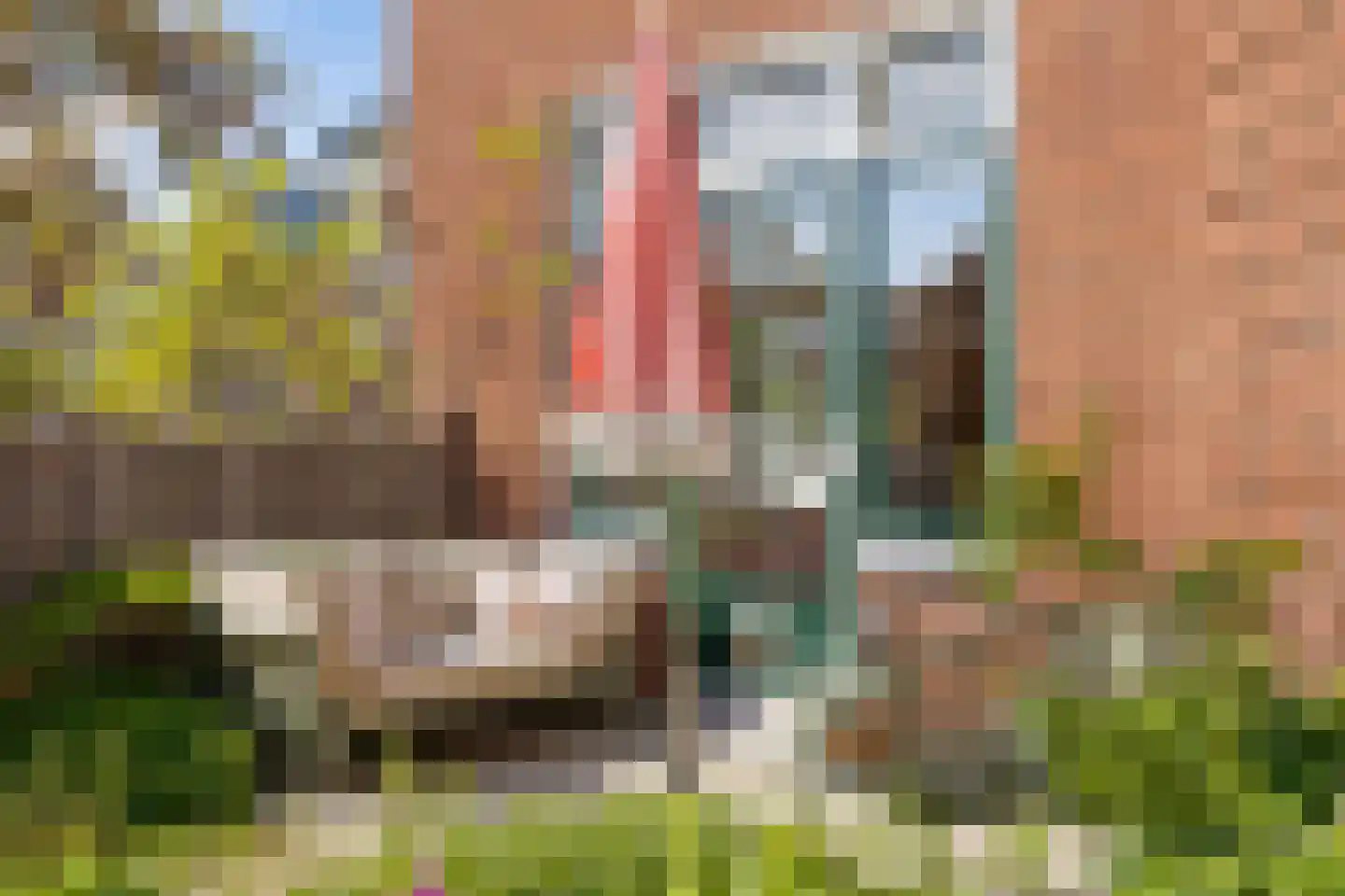 Delistraat 7 Nijmegen thumbnail 67