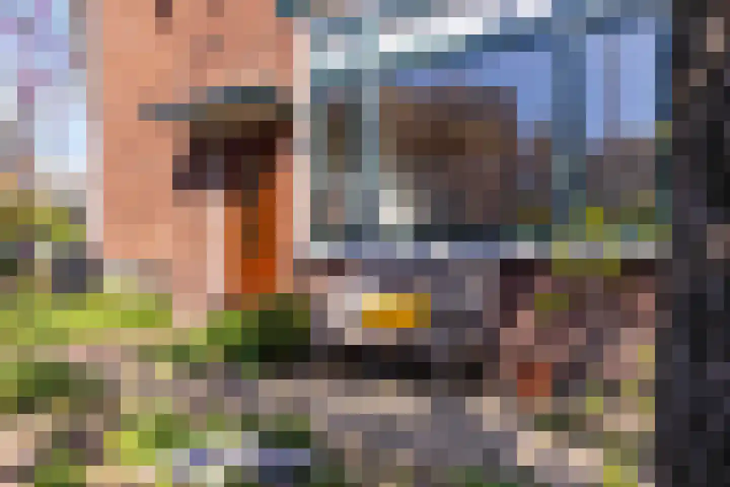 Delistraat 7 Nijmegen thumbnail 7