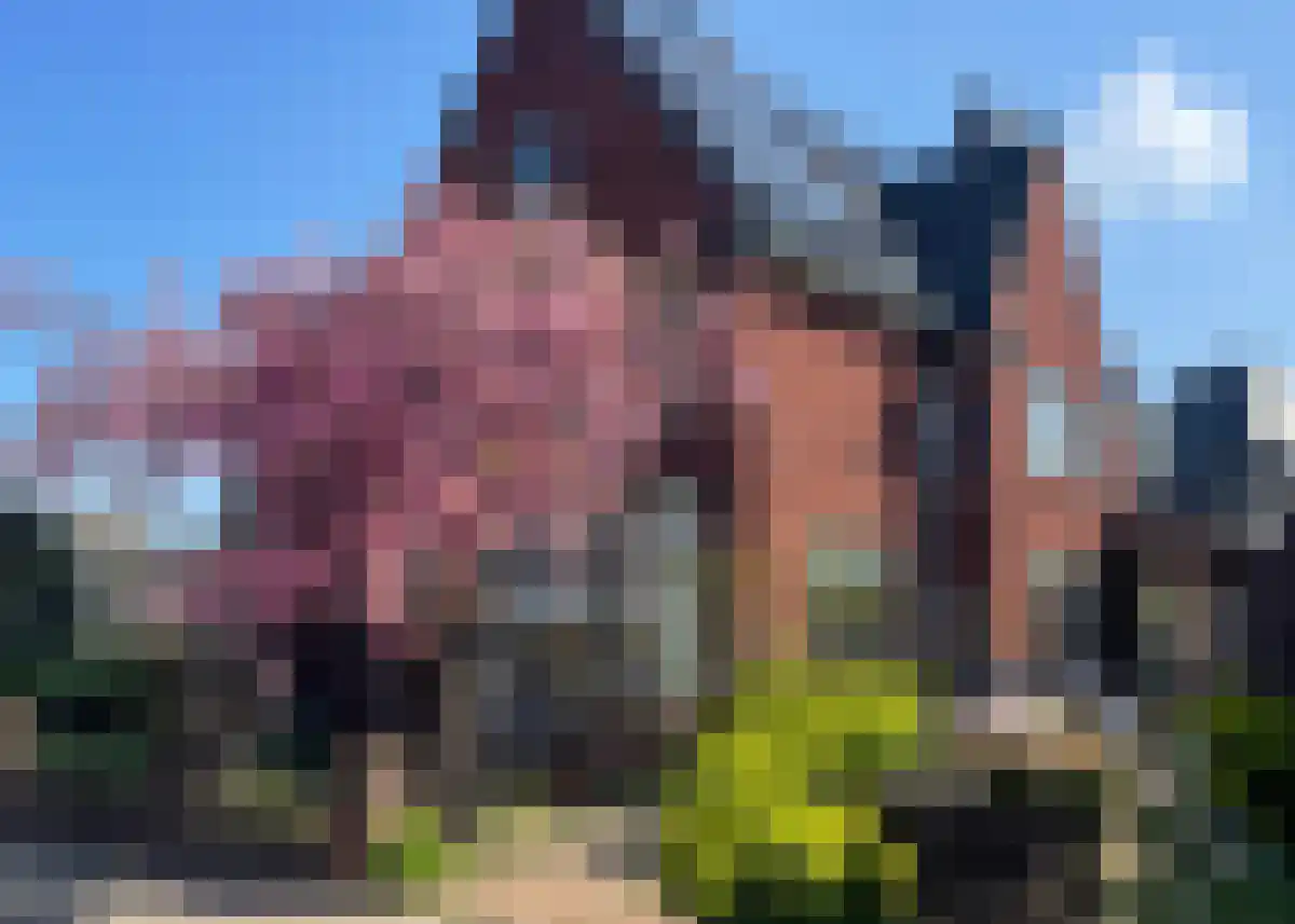 Delistraat 7 Nijmegen thumbnail 72