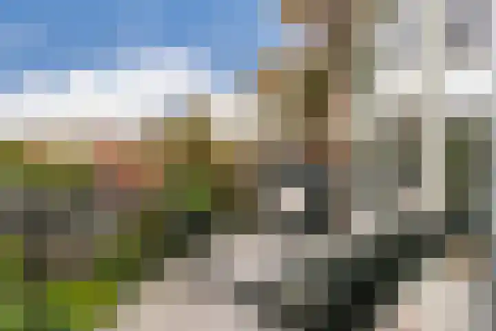 Delistraat 73 Nijmegen thumbnail 7