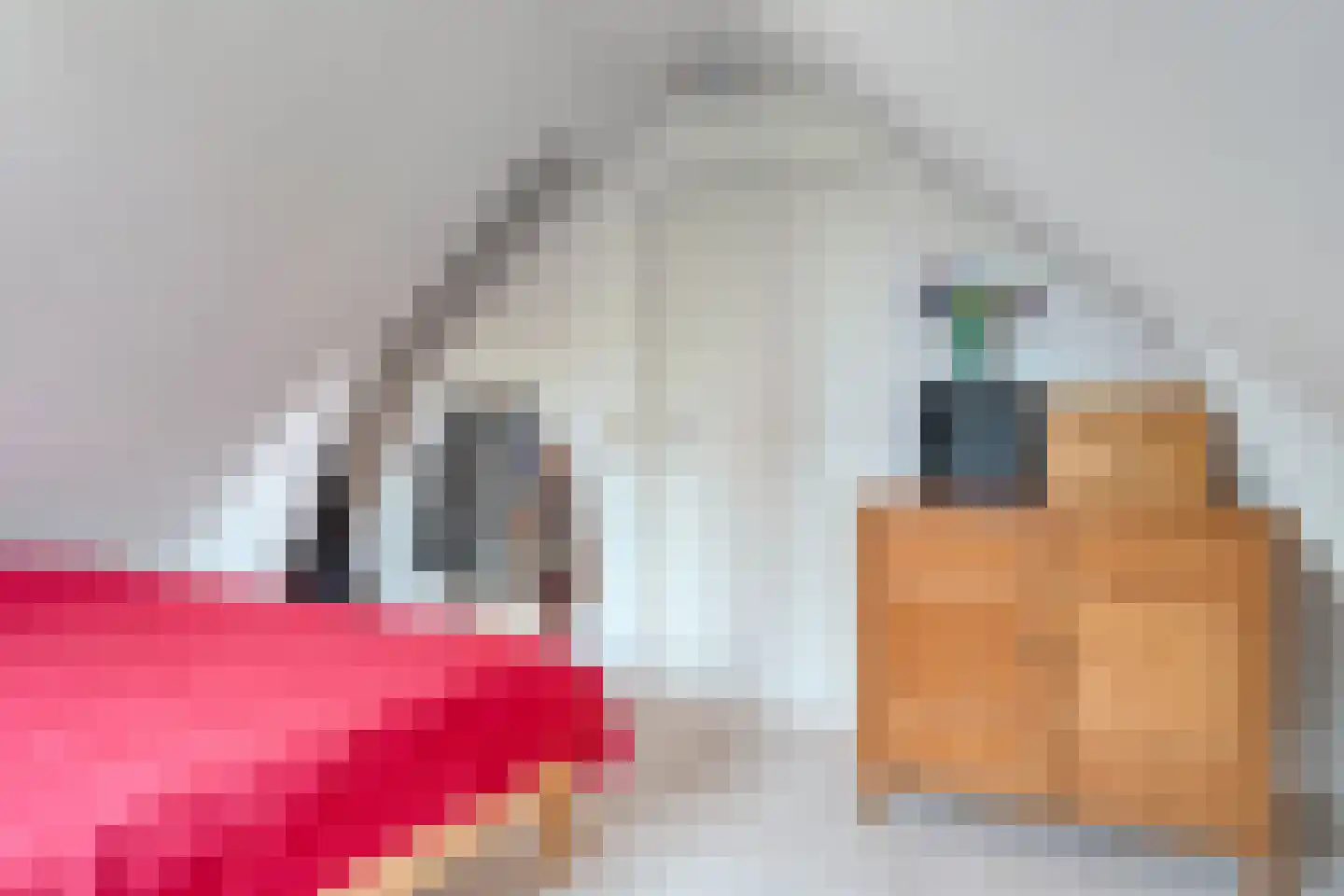 Delistraat 8 Rotterdam thumbnail 23
