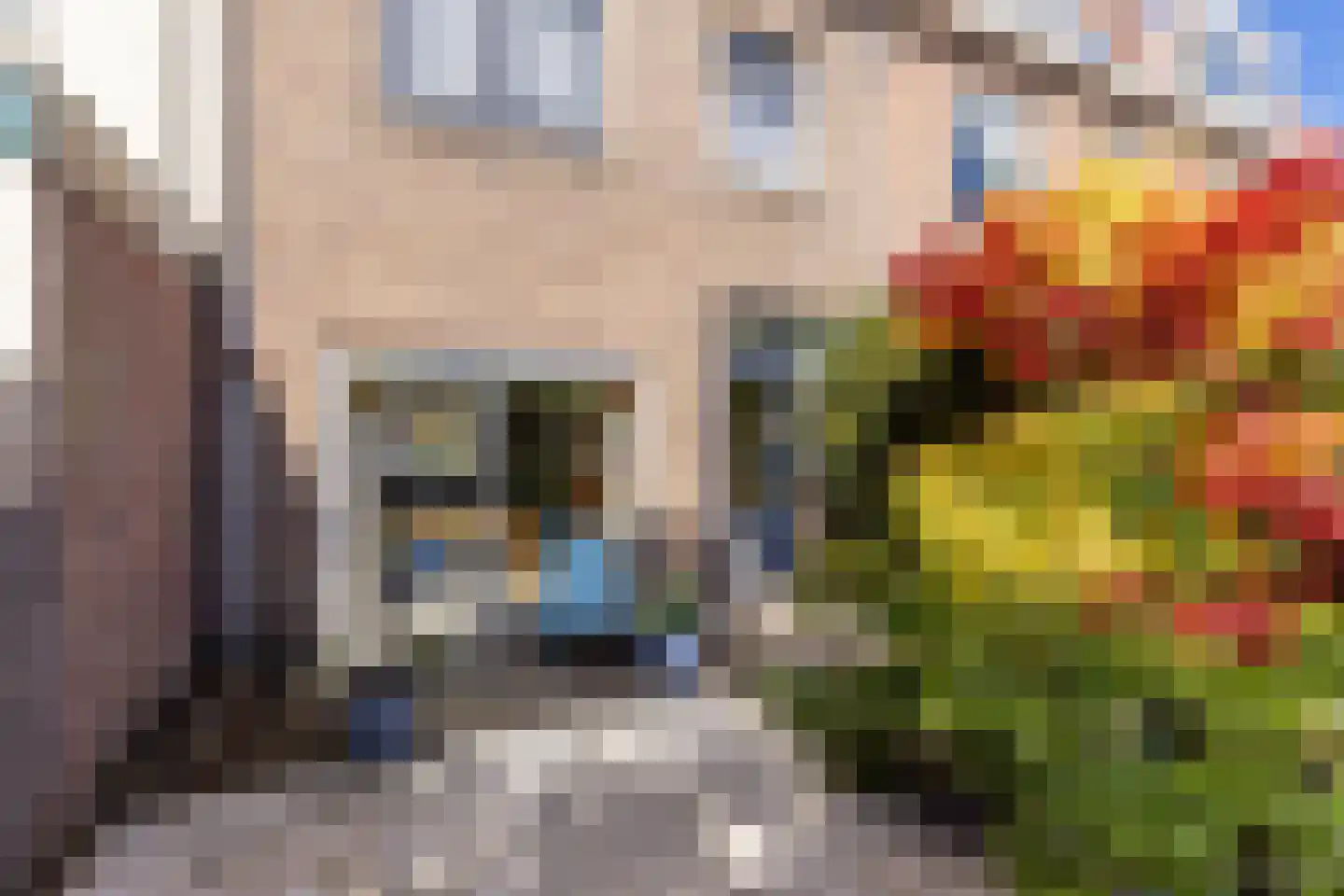 Delistraat 90 Haarlem thumbnail 28