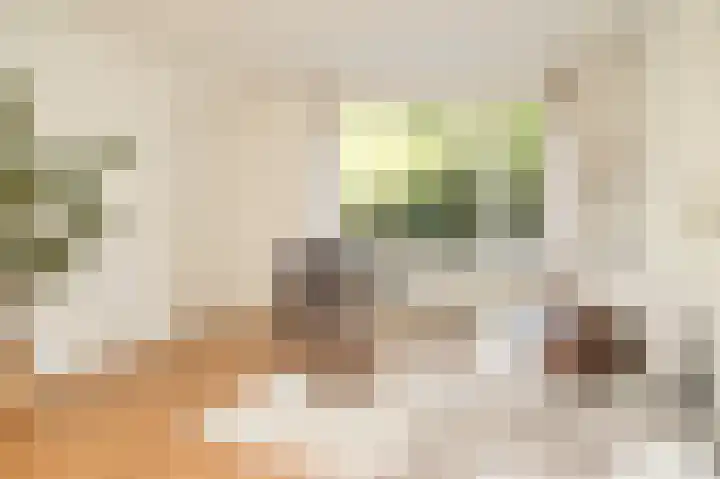 Deliuslaan 100 Utrecht thumbnail 10