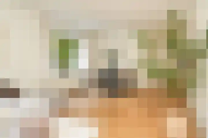 Deliuslaan 100 Utrecht thumbnail 11