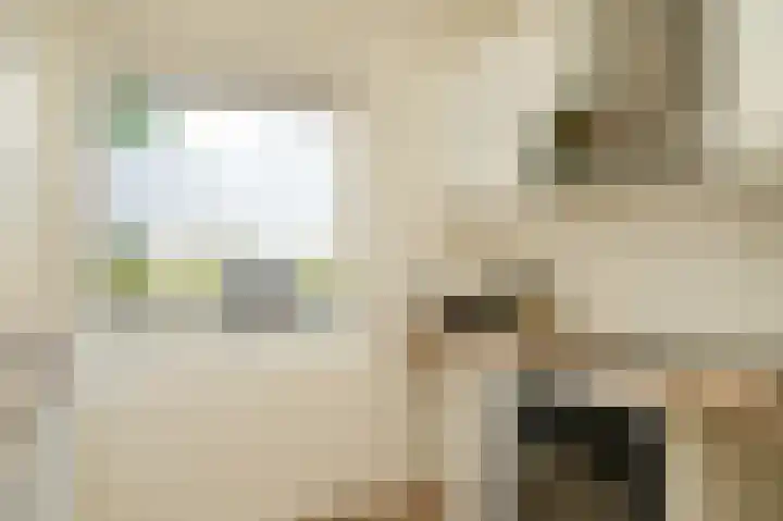 Deliuslaan 100 Utrecht thumbnail 14