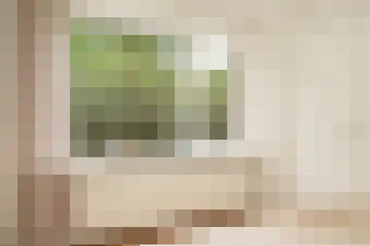 Deliuslaan 100 Utrecht thumbnail 19