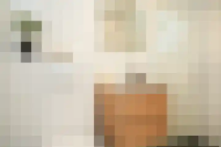 Deliuslaan 100 Utrecht thumbnail 20