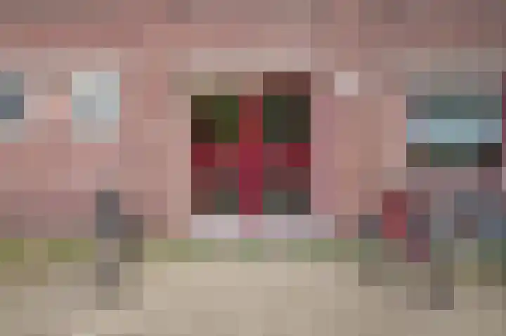 Deliuslaan 100 Utrecht thumbnail 25