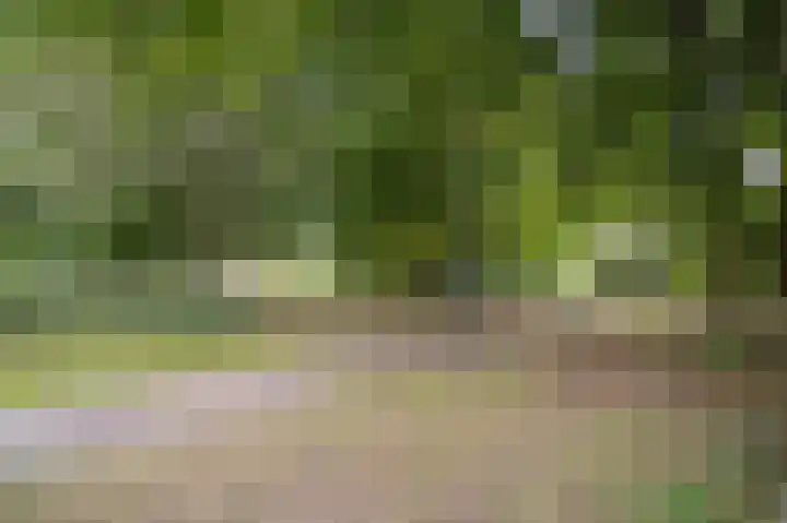Deliuslaan 100 Utrecht thumbnail 28