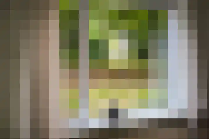 Deliuslaan 100 Utrecht thumbnail 4