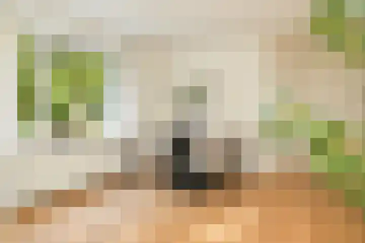 Deliuslaan 100 Utrecht thumbnail 6