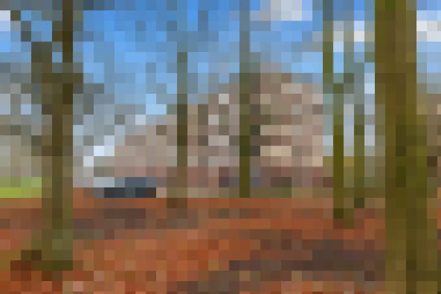 Deliuslaan 102 Utrecht thumbnail 21