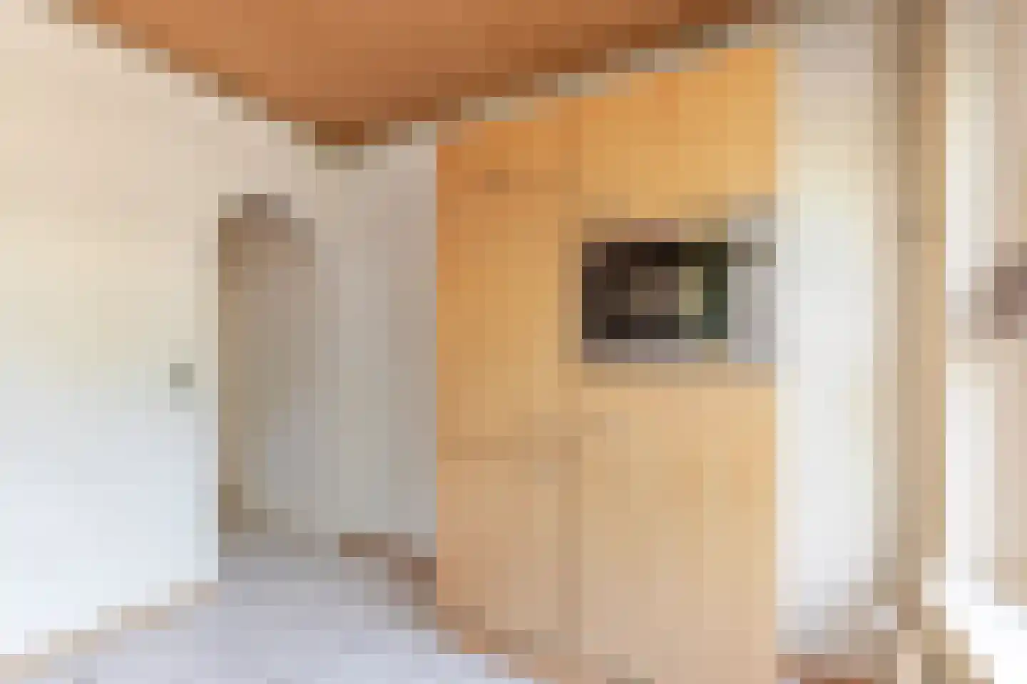 Deliuslaan 28 Utrecht thumbnail 16