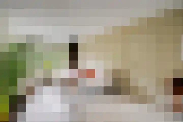 Deliuslaan 52 Utrecht thumbnail 12