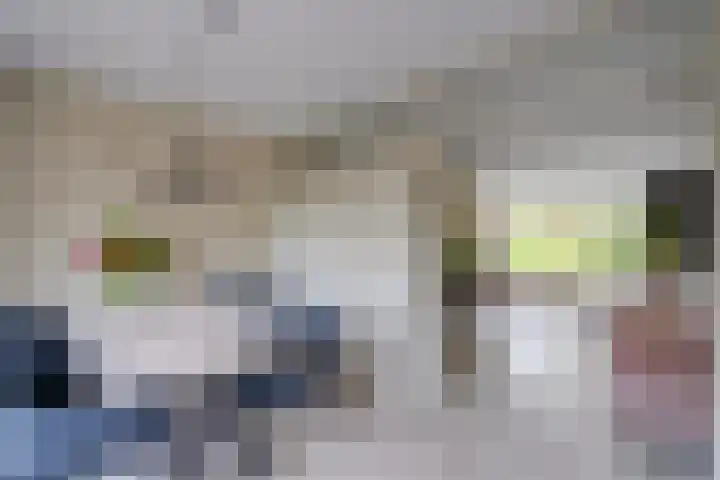 Deliuslaan 52 Utrecht thumbnail 16