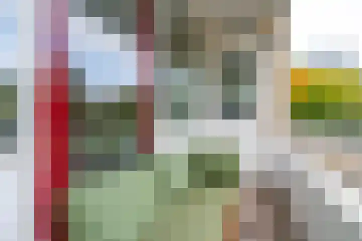 Deliuslaan 52 Utrecht thumbnail 22