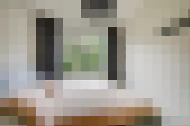 Deliuslaan 52 Utrecht thumbnail 24