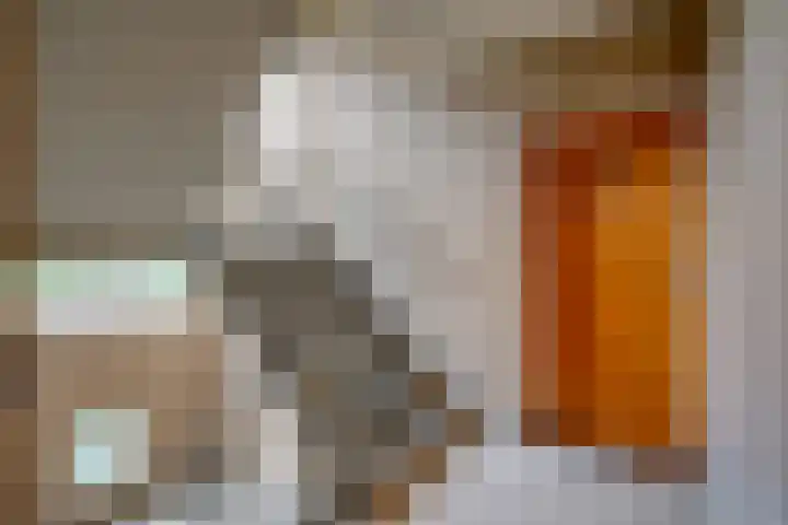Deliuslaan 52 Utrecht thumbnail 9