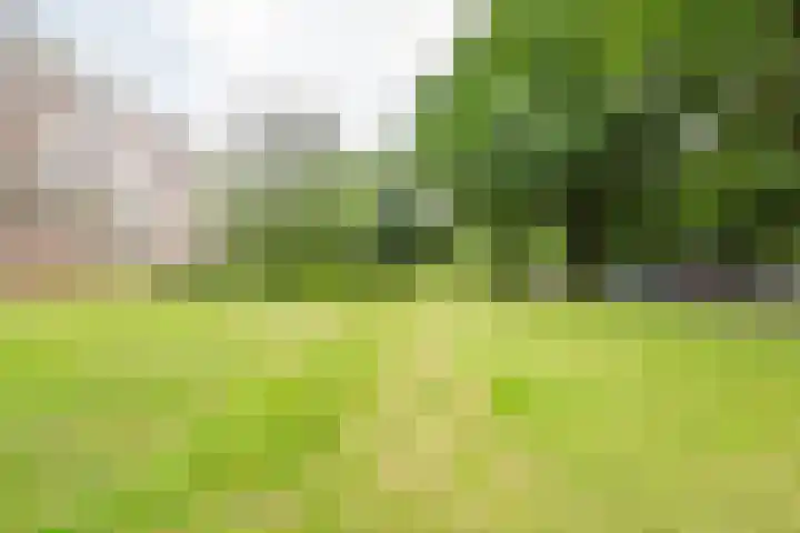 Deliuslaan 82 Utrecht thumbnail 35