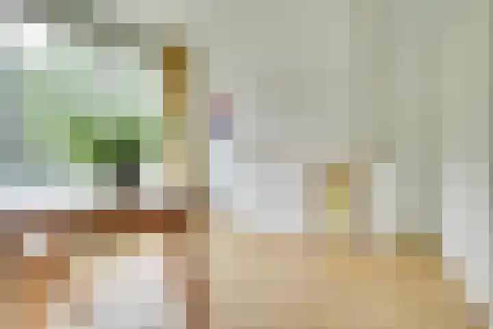 Deliuslaan 82 Utrecht thumbnail 8