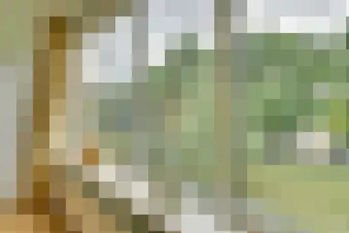 Deliuslaan 82 Utrecht thumbnail 9