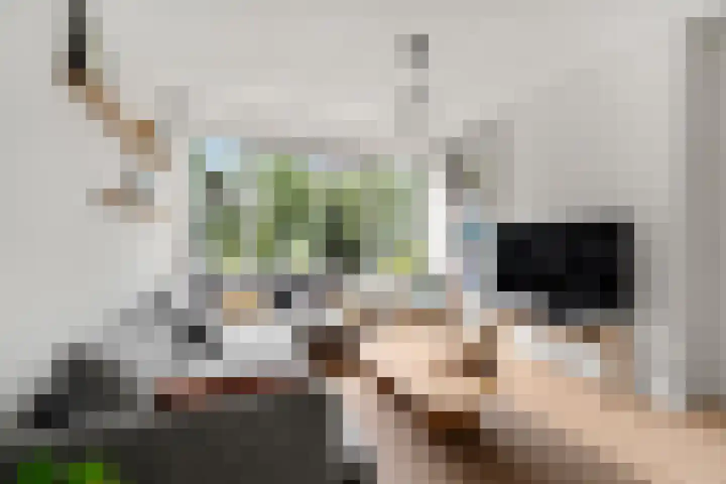 Deliuslaan 86 Utrecht thumbnail 11