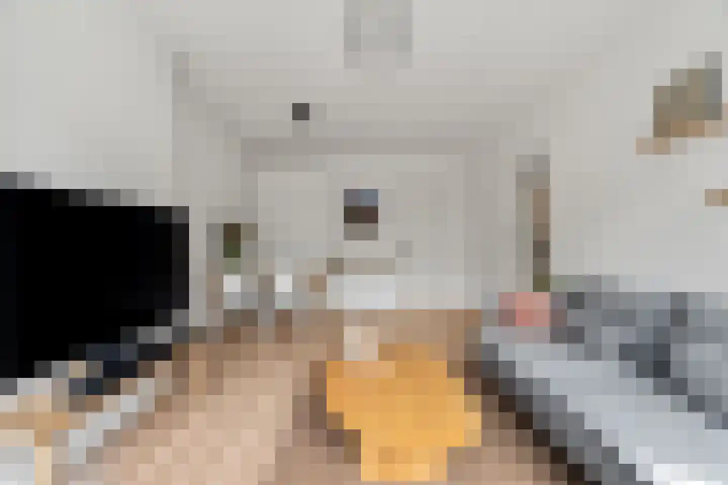 Deliuslaan 86 Utrecht thumbnail 14