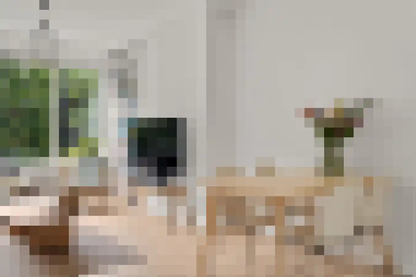 Deliuslaan 86 Utrecht thumbnail 9