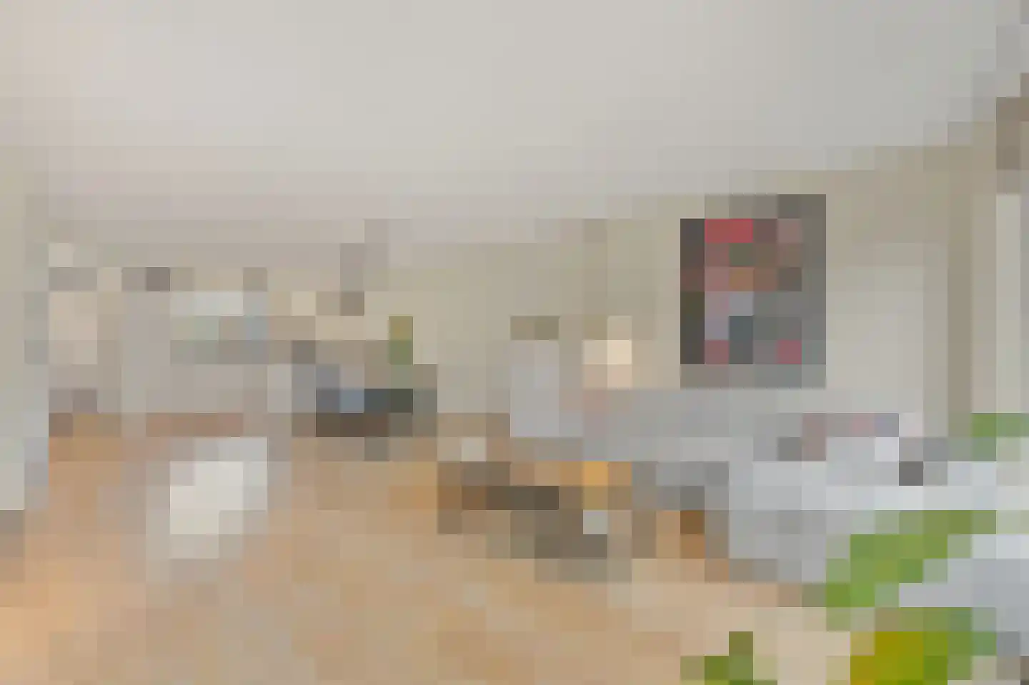 Delkamp 46 Maasland thumbnail 11