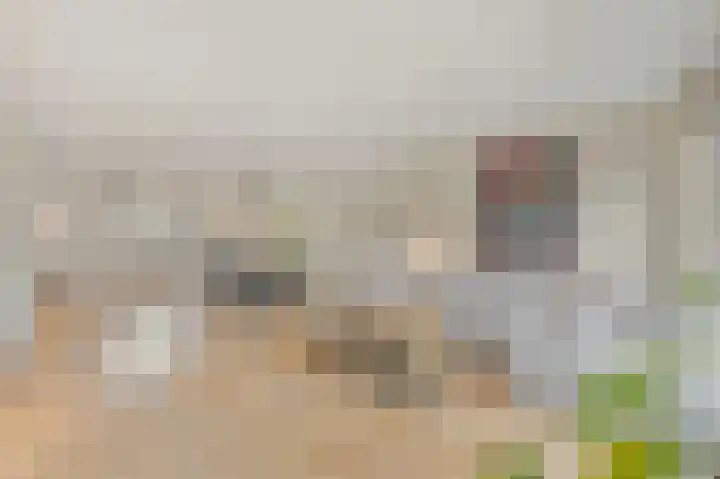 Delkamp 46 Maasland thumbnail 11