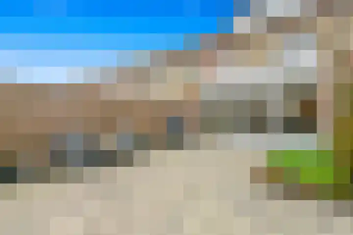 Delkamp 46 Maasland thumbnail 13