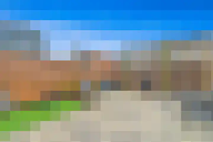 Delkamp 46 Maasland thumbnail 14