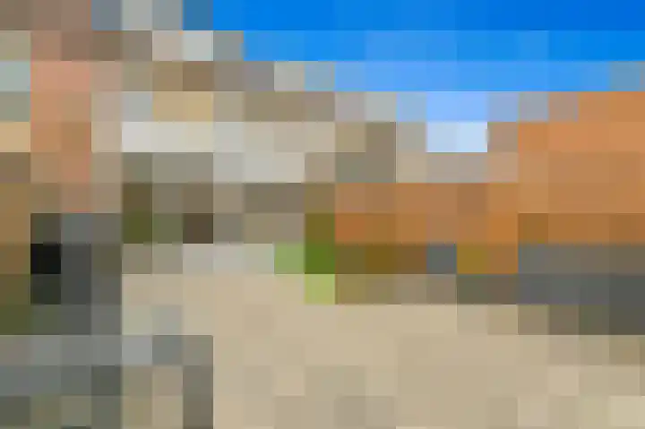 Delkamp 46 Maasland thumbnail 15