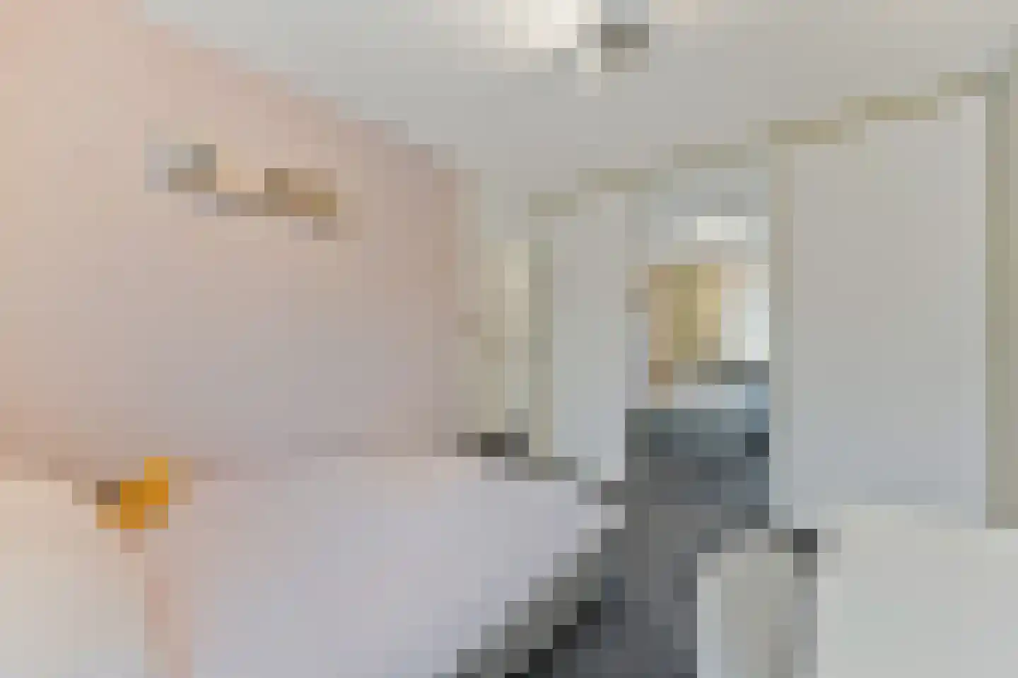 Delkamp 46 Maasland thumbnail 22
