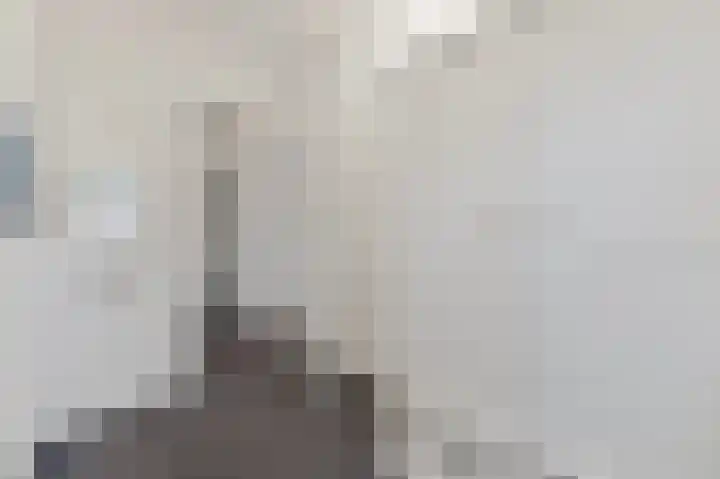 Delkamp 46 Maasland thumbnail 24
