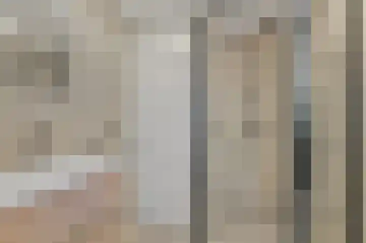 Delkamp 46 Maasland thumbnail 27