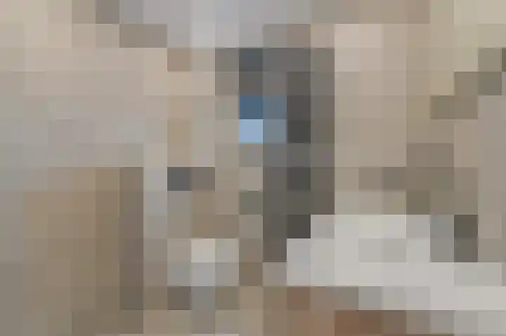 Delkamp 46 Maasland thumbnail 28
