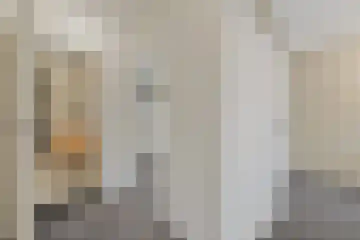 Delkamp 46 Maasland thumbnail 30