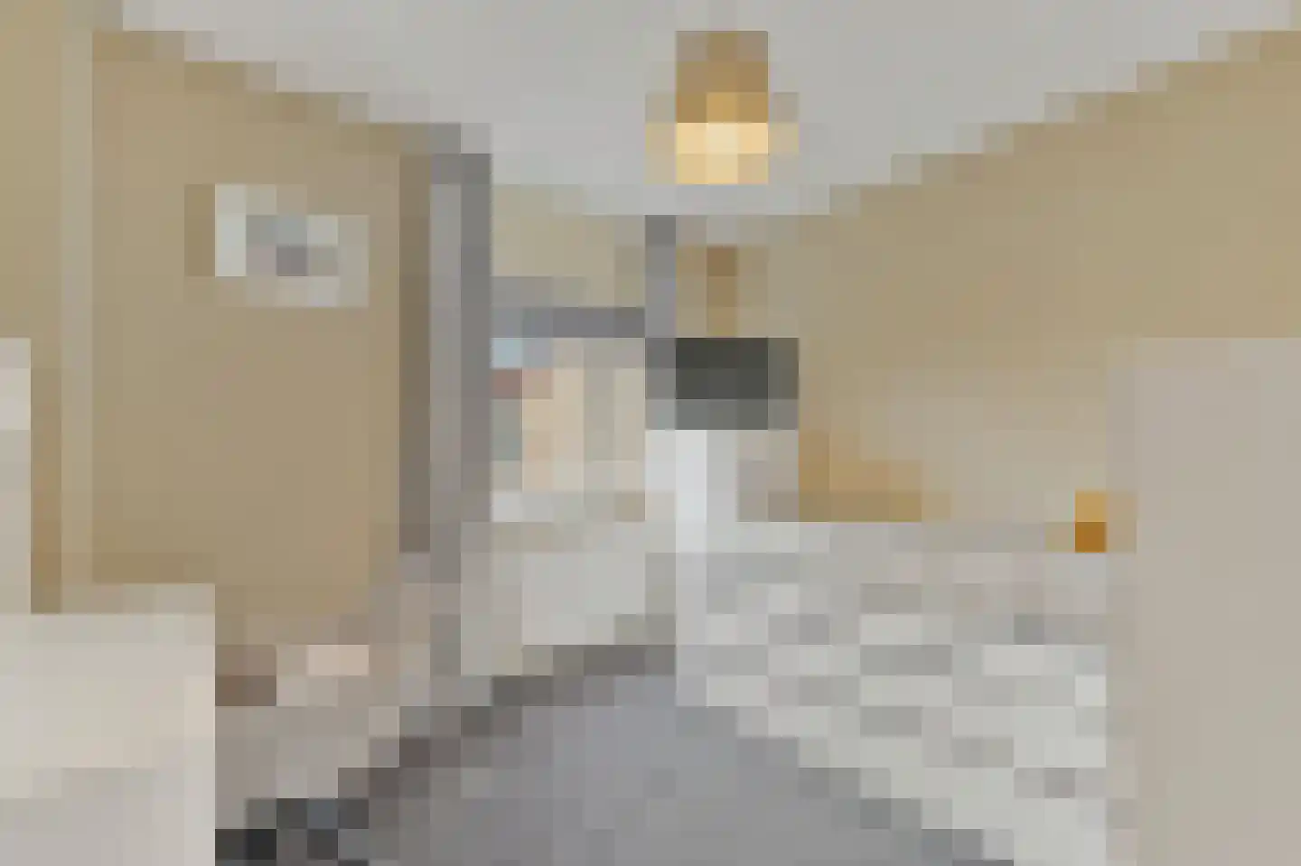 Delkamp 46 Maasland thumbnail 31