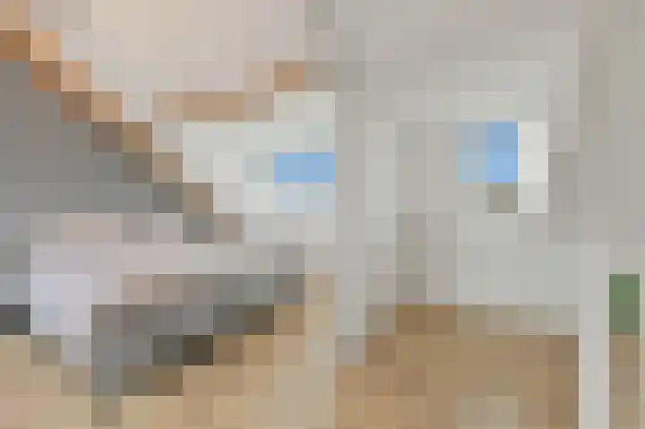 Delkamp 46 Maasland thumbnail 34