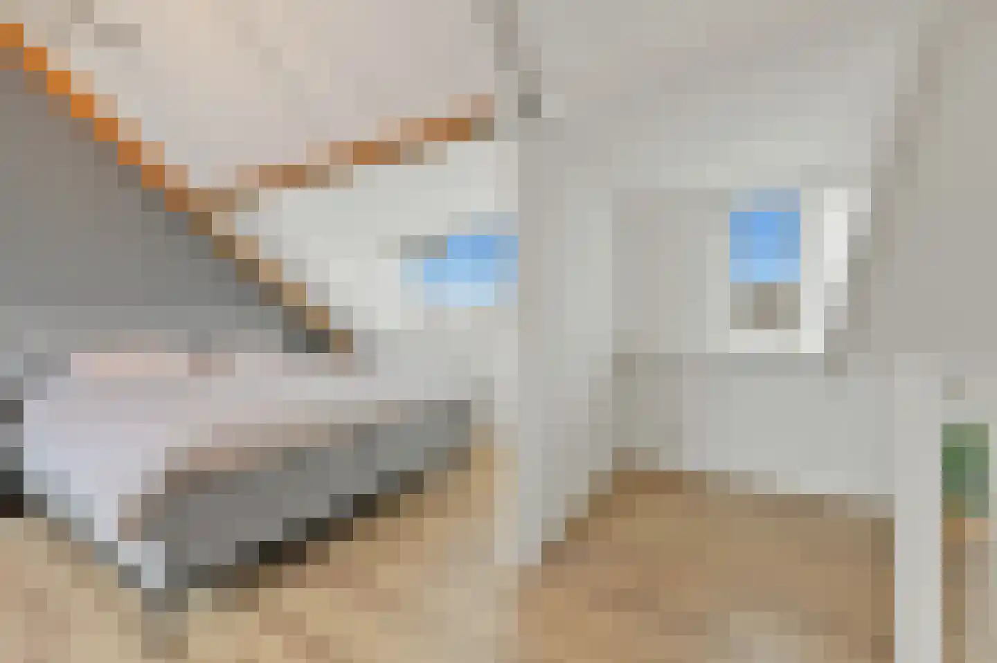 Delkamp 46 Maasland thumbnail 34