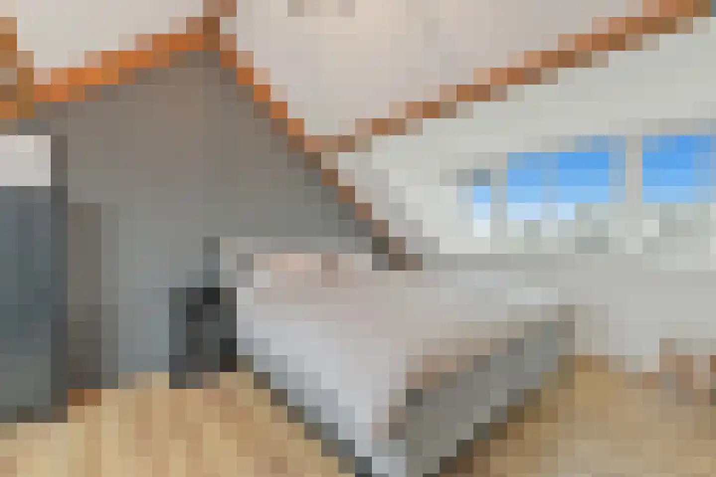 Delkamp 46 Maasland thumbnail 36