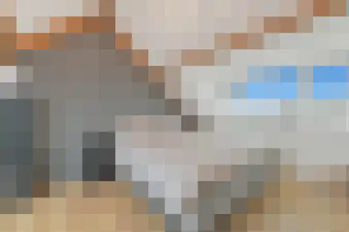 Delkamp 46 Maasland thumbnail 36