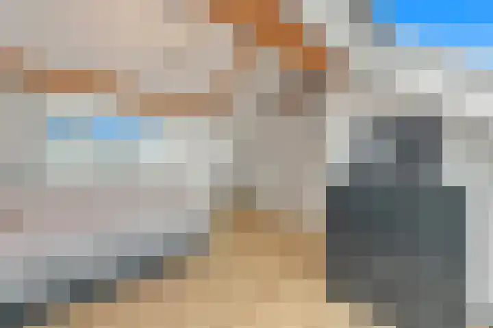 Delkamp 46 Maasland thumbnail 37